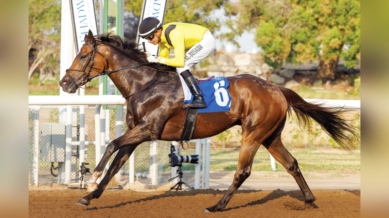 «مرسال» ينتزع لقب «محاذر ستيكس» في مضمار «جبل علي»
