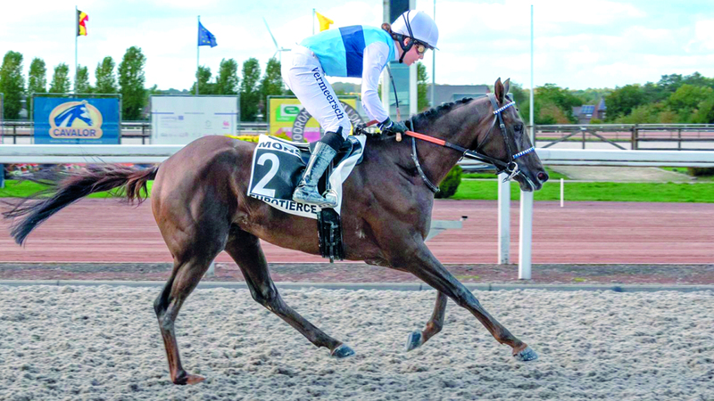 «باهي» يتصدر الخيول المشاركة في كأس الوثبة ببلجيكا