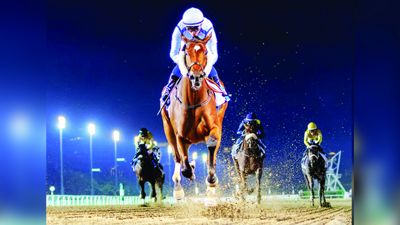 83 خيلاً تنافس على ألقاب الأمسية الثانية لموسم كرنفال سباقات دبي