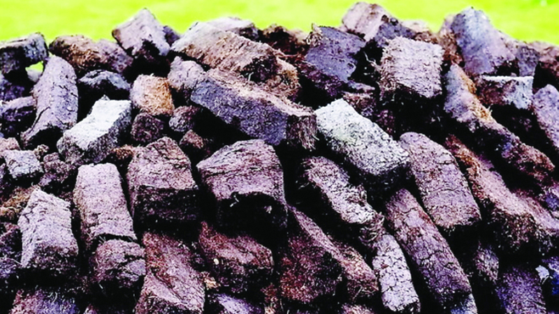 لتأثيره في البيئة.. إيرلندا تودّع «صديق الشتاء»