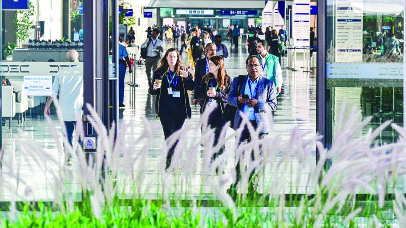 أصحاب القمصان الخضراء.. في كل بقعة بأرضنا الطيبة