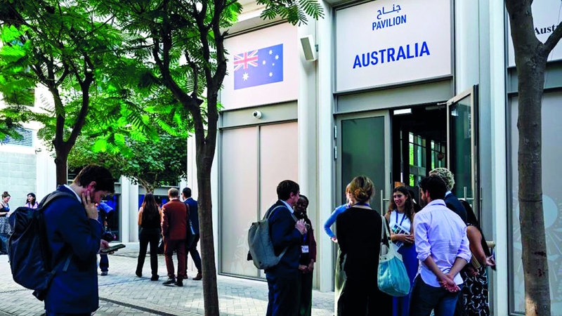 إعادة تأهيل أقدم غابة مطيرة في العالم