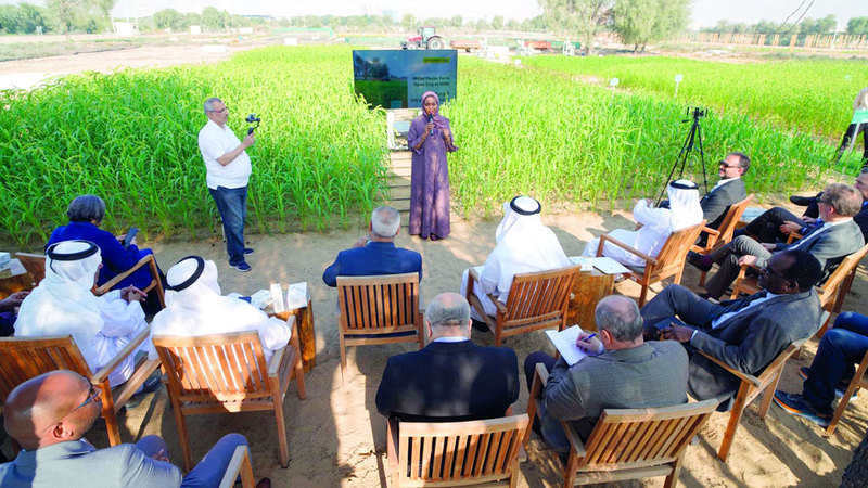 تمكين مليون امرأة في الزراعة.. مبادرة تنطلق من دبي