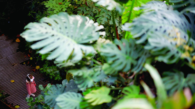 صورة وتعليق.. حديقة ومتحف غاردان دو بلانت باريس فرنسا