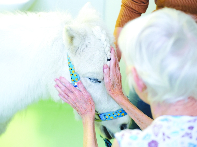 المُهر «ديتريش» يزور المسنين
