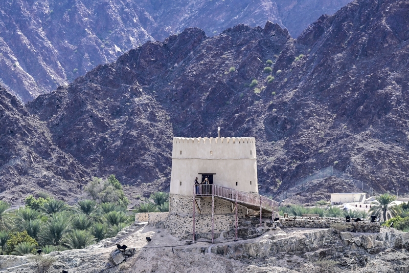 سعيد البدواوي.. ذاكرة تزهو بتاريخ حتا