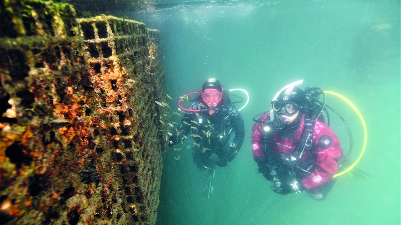 حاضنات للكائنات البحرية في ميناء خليفة