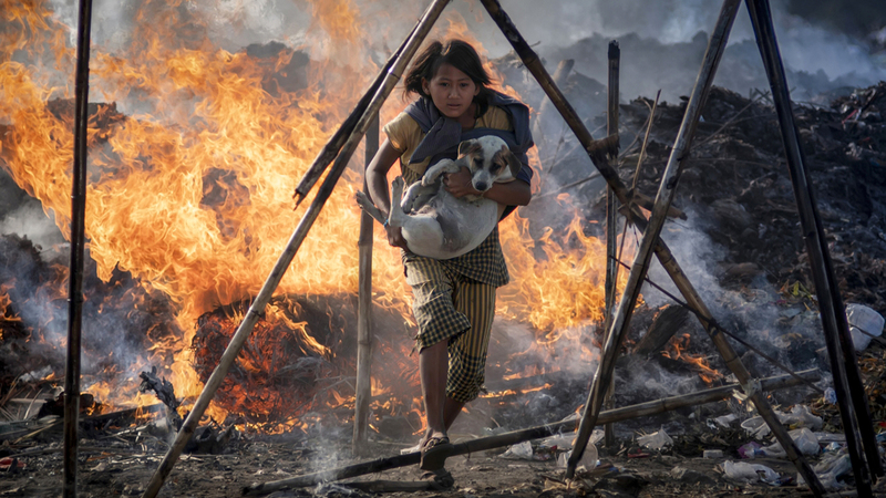 «جائزة حمدان بن محمد للتصوير» تحتفي بعدسات رفيعة المستوى