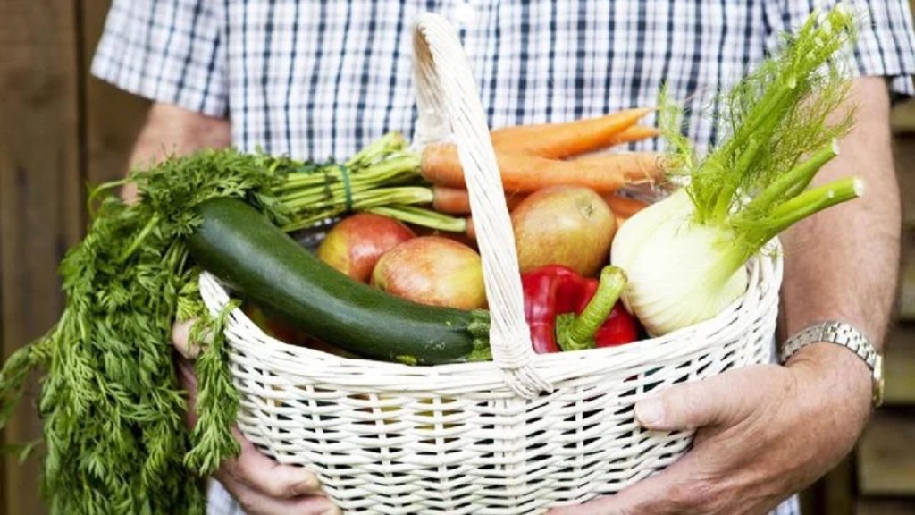 طبيب قلب ألماني يحذر من إهمال علاج ارتفاع الكوليسترول: جرس إنذار