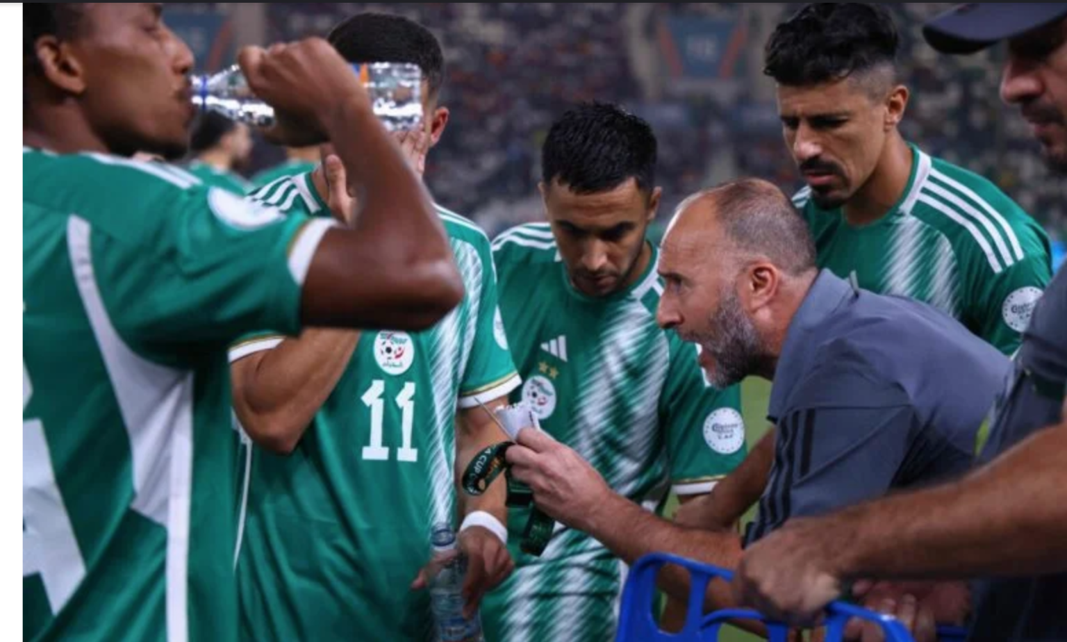 الاعتداء على لاعبي الجزائر بعد الخروج من كأس الأمم الإفريقية (فيديو)