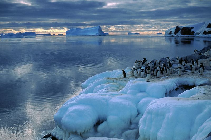 خلال حفل في القطب الجنوبي .. وزير روسي: الـ 10 آلاف سنة المقبلة ستكون دافئة