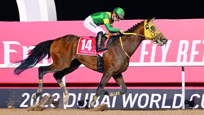 868 خيلاً في «كأس دبي العالمي 2024»