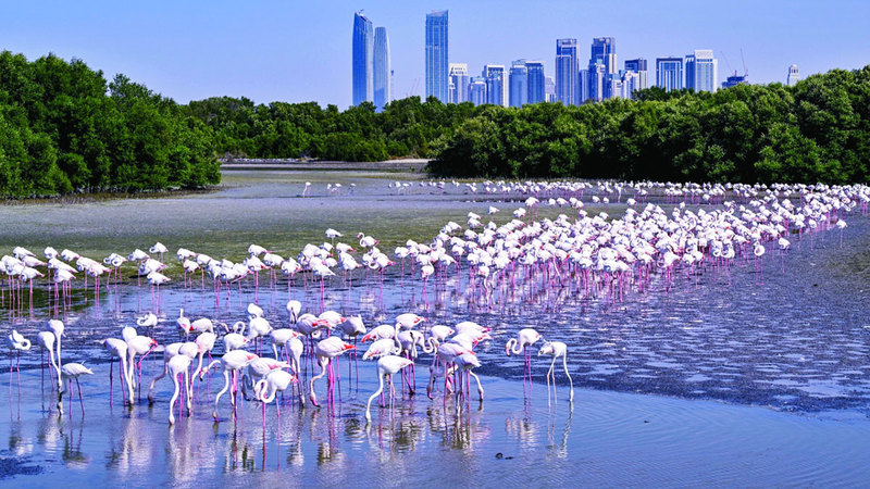 مزيد من المتعة خلال «أجمل شتاء في العالم»