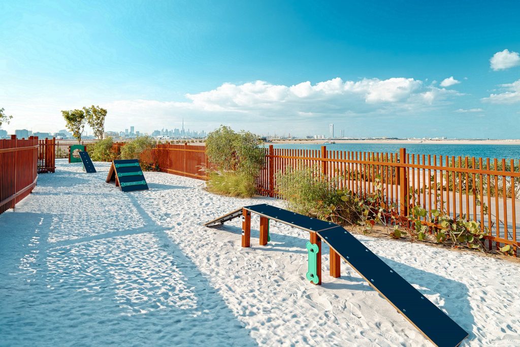 دبي تدلل أصحاب الحيوانات الأليفة.. بأول منتزه للكلاب على الشاطئ