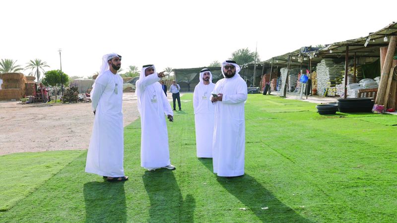 جولات تفتيشية مكثفة لرصد التجاوزات والتعديات على المزارع في الشارقة