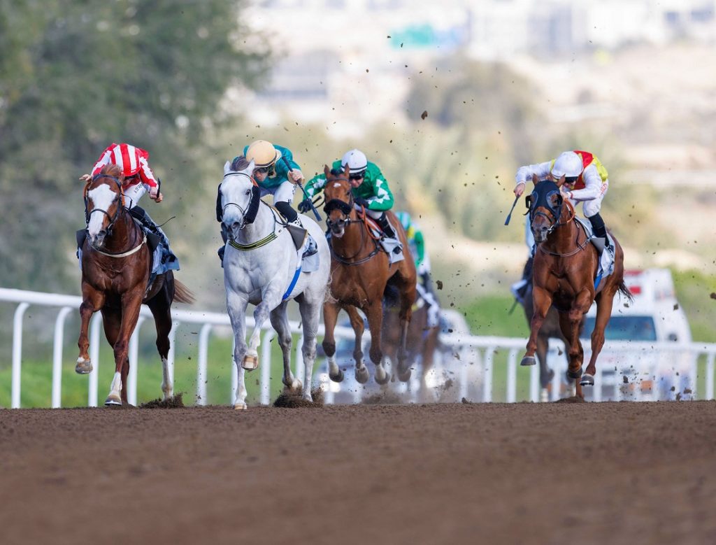 الجواد “ميلتاري أرتيست” بطل سباق “النوايف ستيكس” في أمسية “يوم المرأة”