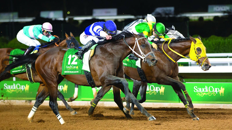 33 خيلاً «فئة أولى» في الطريق إلى كأس دبي العالمي