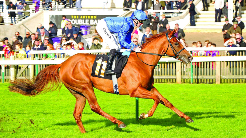 لقب «بري امبرودانس» الفرنسي يغازل المهرة «رومانتيك ستايل»