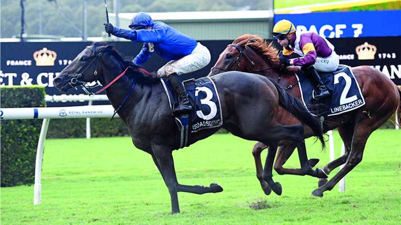 «برودسايدنغ» يهدي «غودولفين» لقب «شامبين ستيكس» الأسترالي