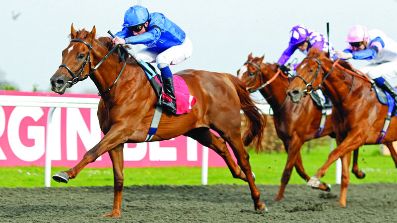 جياد الإمارات تطارد اللقب الـ 11 في «2000 غينيز» الإنجليزي