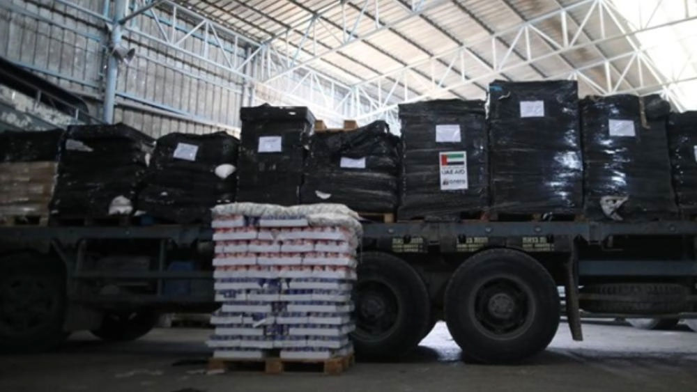 الإمارات تعلن إيصال 400 طن من المساعدات الغذائية لسكان غزة