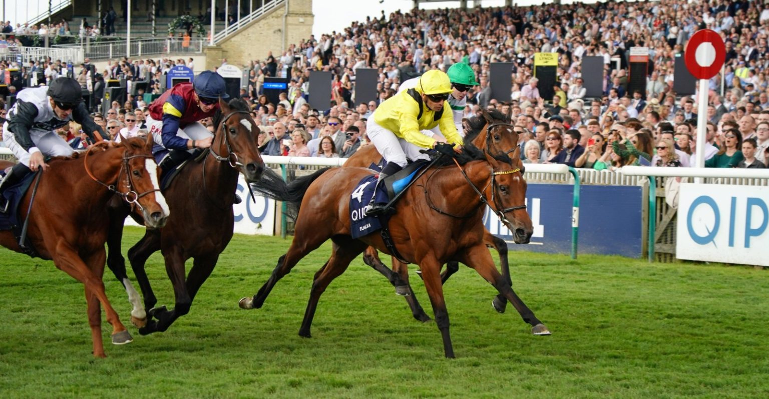 المهرة «الملكة» بطلة سباق «1000 غينيز» الإنجليزي