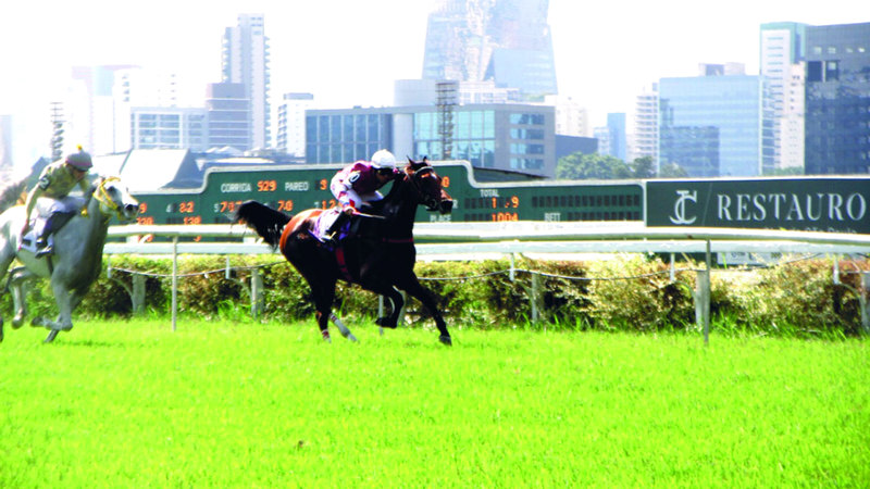 كأس الوثبة للخيول في البرازيل اليوم