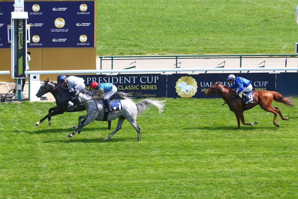 كأس رئيس الدولة للخيول العربية الأصيلة تنطلق غداً في فرنسا