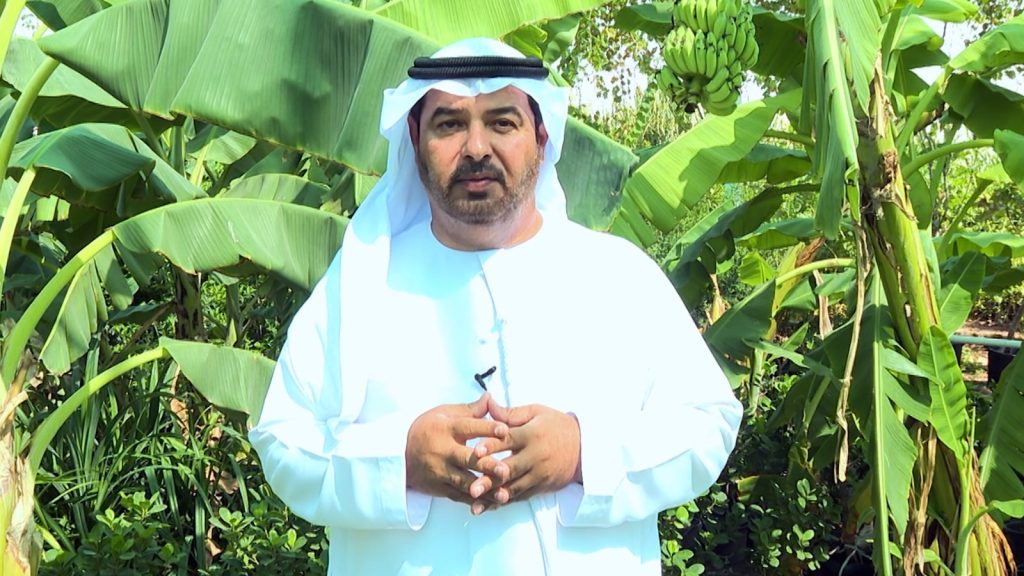 مزارع إماراتي ينتج 200 طن سماد عضوي شهرياً من تدوير النفايات