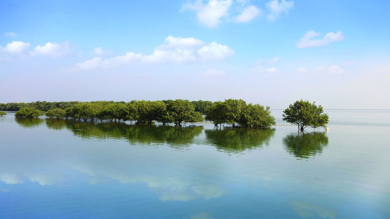 رئيس الدولة اطلع على المشروع.. إدراج 9 مواقع مهمة للتنوع البيولوجي عالمياً في الإمارات
