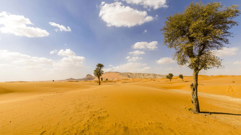 3 ملامح للقيظ خلال فصل الصيف