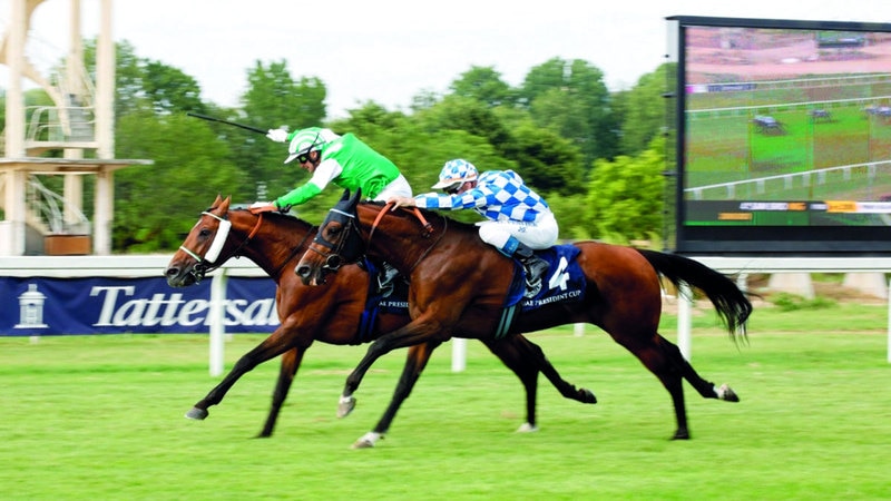 كأس رئيس الدولة للخيول العربية في ميلانو اليوم