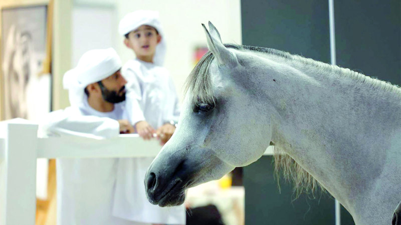 النسخة الكبرى من «الصيد والفروسية» تنطلق اليوم