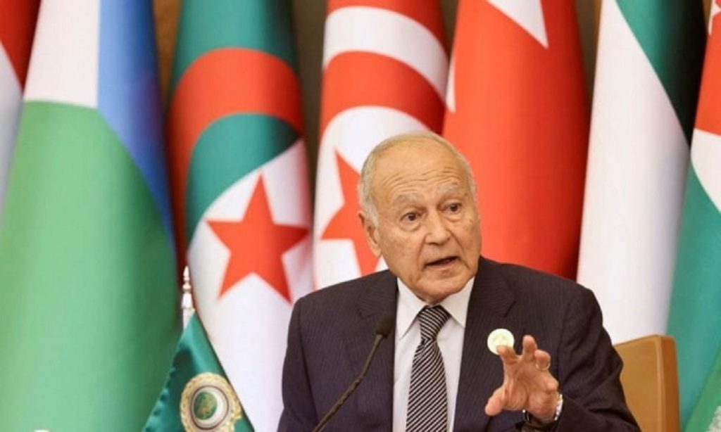 أبو الغيط: يجب مواصلة العمل من أجل الحفاظ على رؤية حل الدولتين وتطبيقها على الأرض