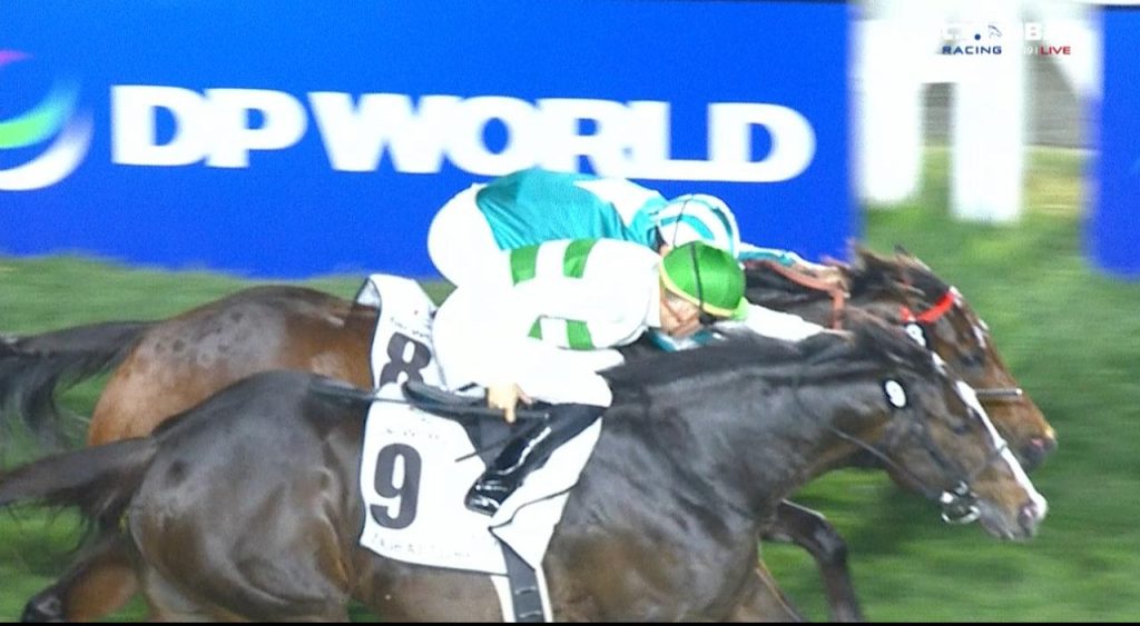 الجواد الياباني “سول راش” يحصد لقب “دبي تيرف”