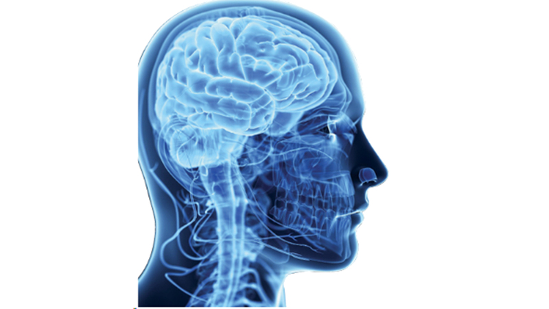 «الساعة الذهبية».. لحظات حاسمة تنقذ حياة مصابي الجلطة الدماغية