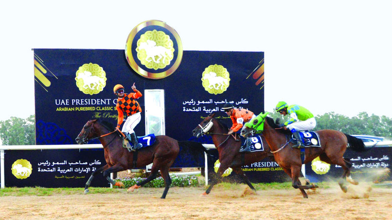 كأس رئيس الدولة للخيول العربية تنطلق في تونس غداً