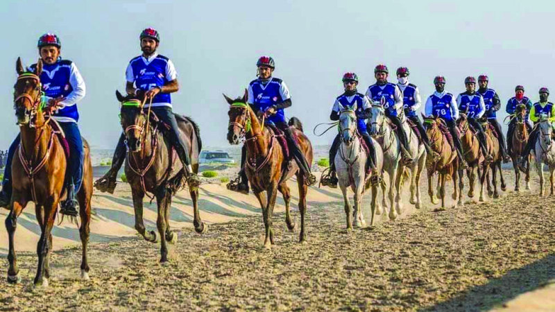 444 فارساً في ختام موسم القدرة