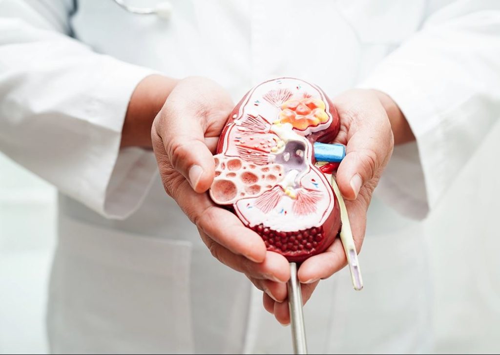 عادات يومية تضر بصحة الكلى