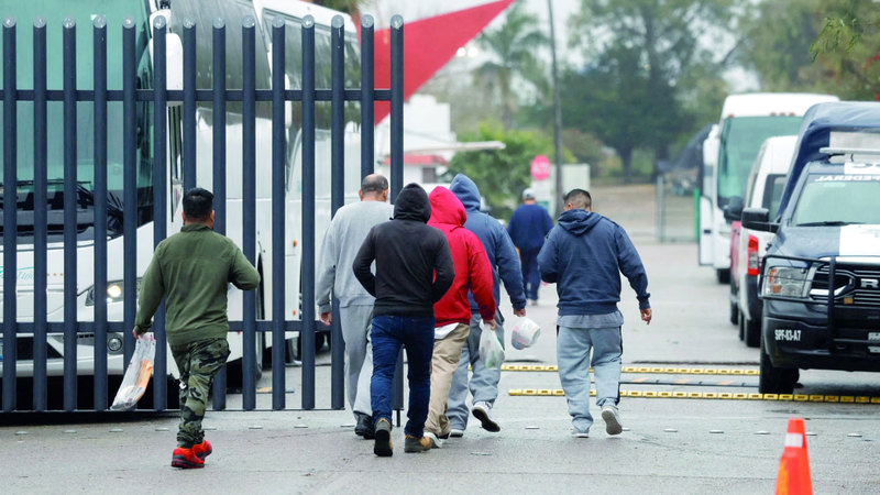 المخاوف السياسية تدفع مهاجرين إلى البحث عن جذورهم في القارة العجوز