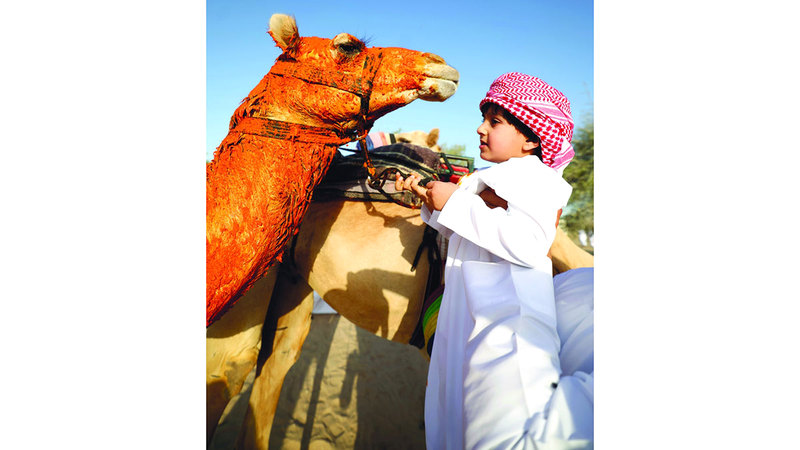 استقبال حار بالزعفران