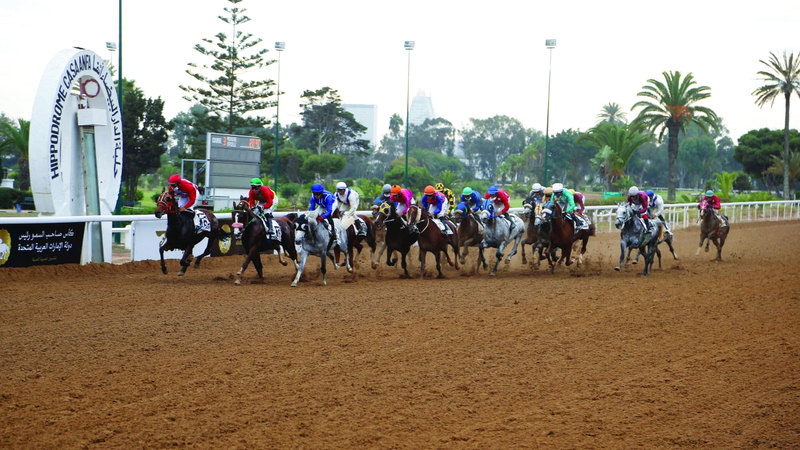 انطلاق كأس رئيس الدولة في المغرب اليوم بمشاركة 17 خيلاً