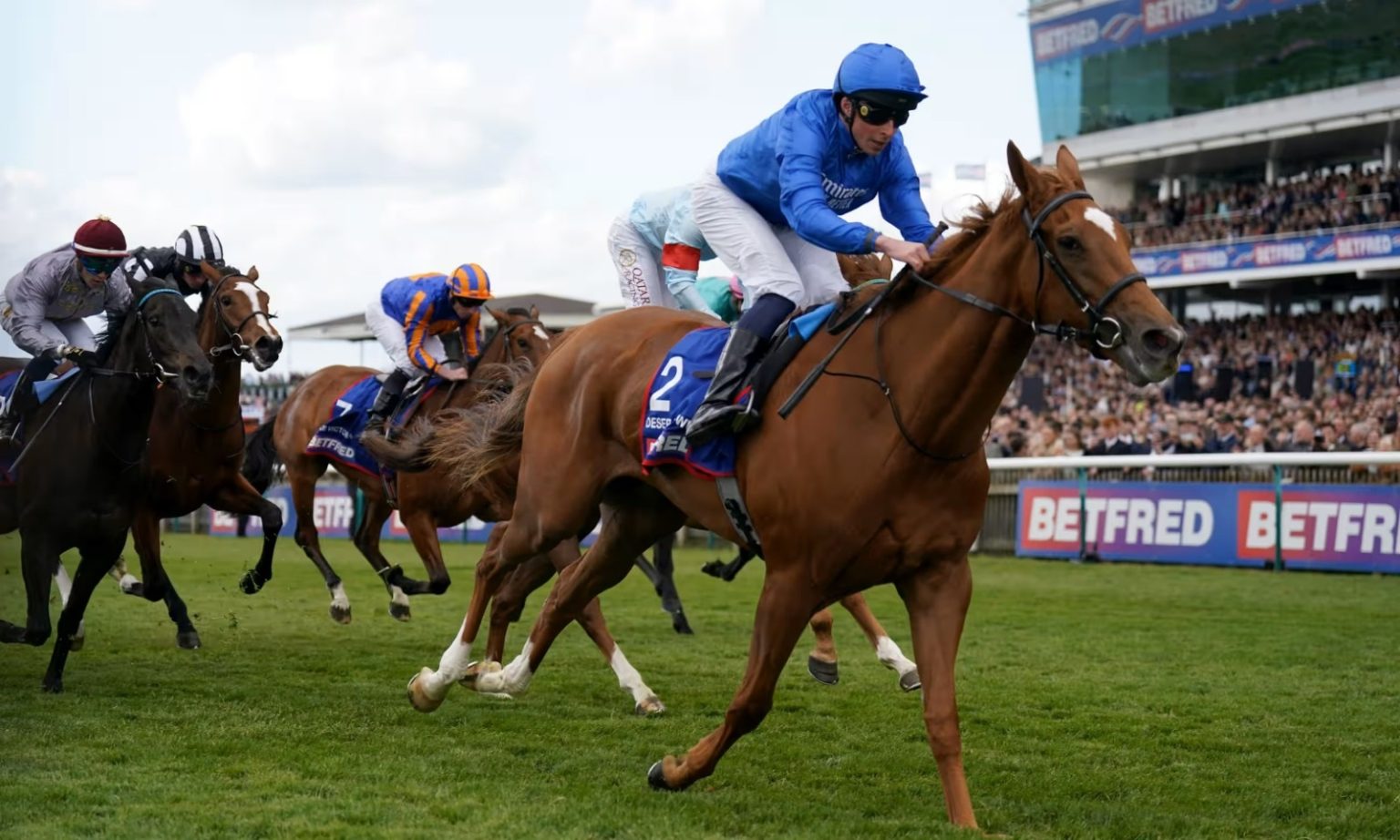 المهرة ديزرت فلاور تتوج بسباق «1000 غينيز» الإنجليزي