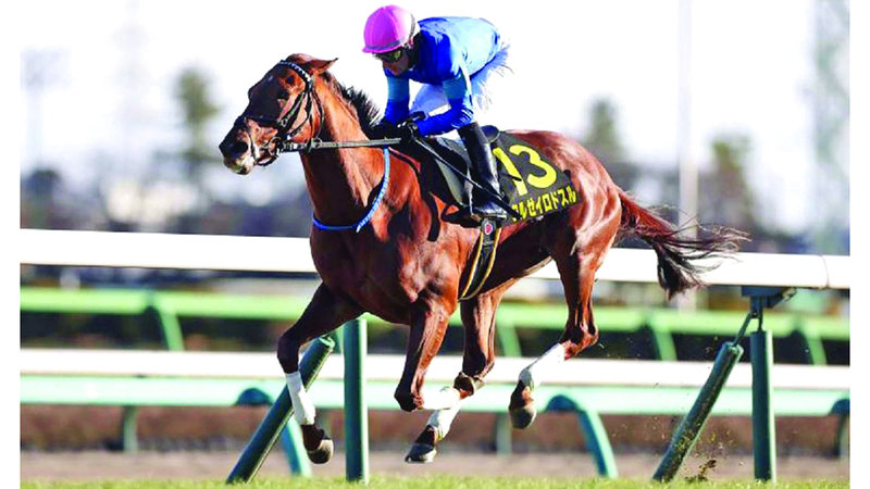 «كروزيرو دو سول» و«لا كيمادا» ينشدان لقب «إبسوم ستيكس» الياباني