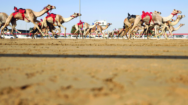 مهرجان المرموم التراثي في دبي.. نافذة حية على الأصالة