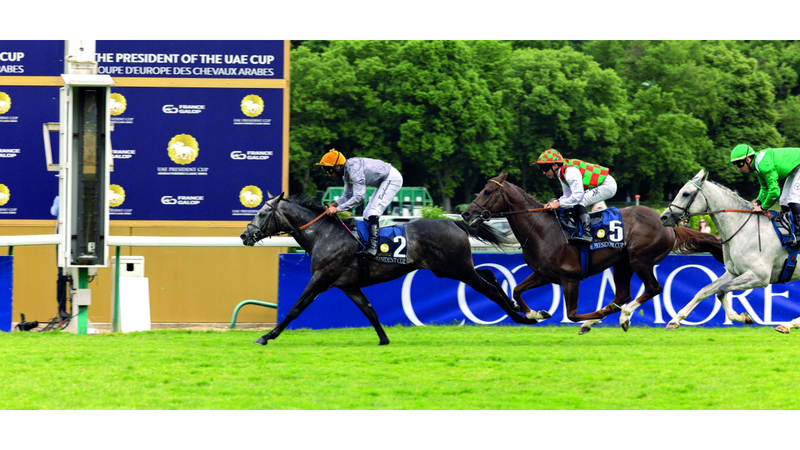«لوسيل» يُحلّق بكأس رئيس الدولة للخيول العربية في باريس