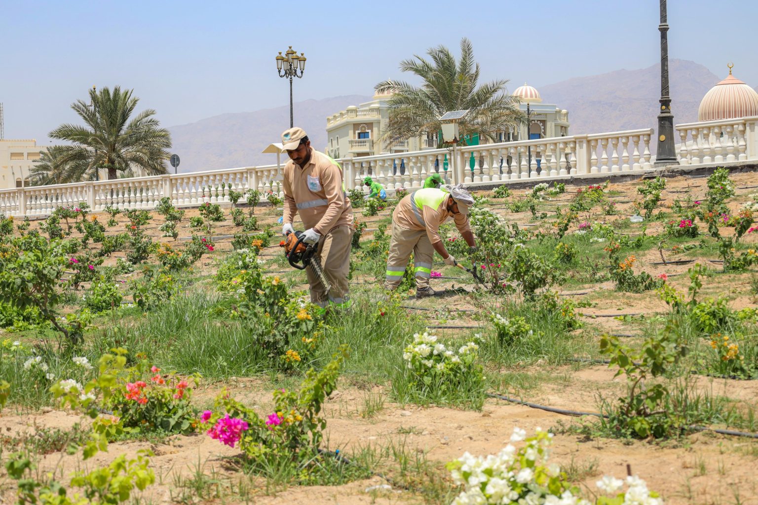 بلدية دبا الحصن تستجيب لـ280 بلاغًا طارئًا عن ثعابين وعقارب وحيوانات سائبة