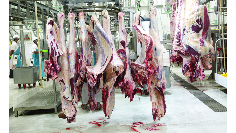 أطباء يحذّرون من ولائم العيد الثقيلة: تزيد خطر الجلطات