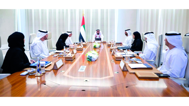 «الاتحادي للتركيبة السكانية» برئاسة سيف بن زايد يعتمد «الإطار السكاني الوطني 2031»