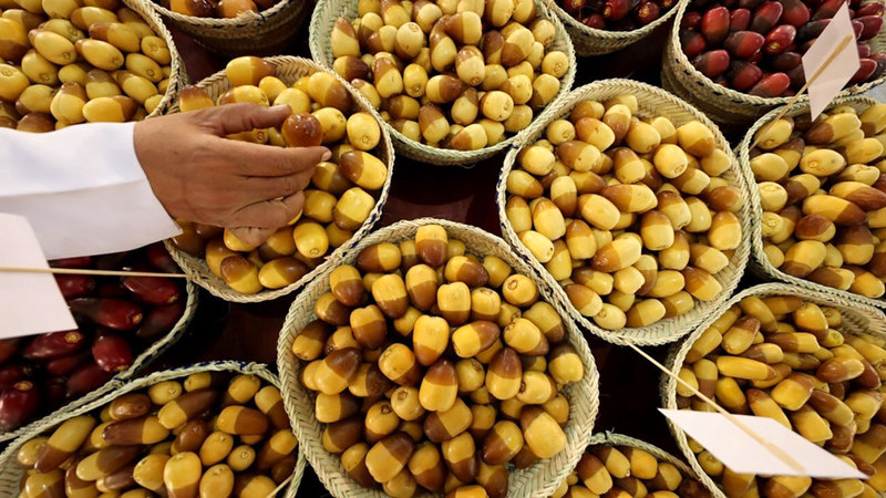 الرطب عنوان للكرم والضيافة في «عام المجتمع»